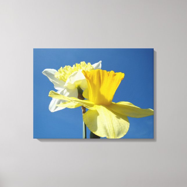 Blue Sky Spring canvas art prints Daffodil Flowers (Front)