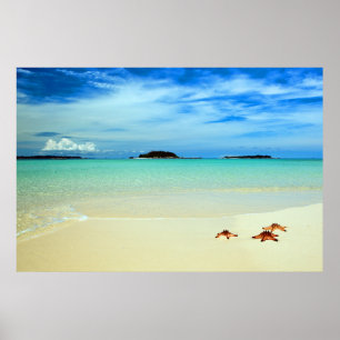 Blue Sky, White Sand And Starfish   Belitung Poster