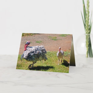 Blue Slate Thanksgiving Day Turkey Holiday Card