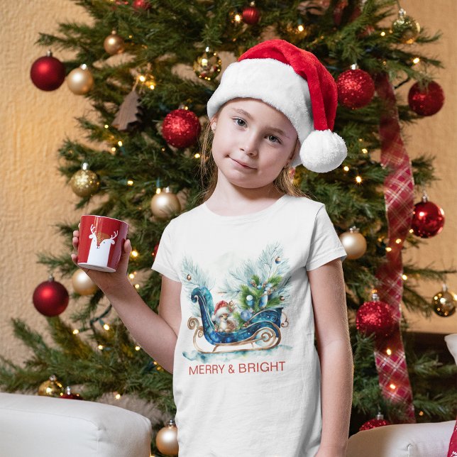 Blue Sled Baby Reindeer Tri-Blend Shirt (Creator Uploaded)
