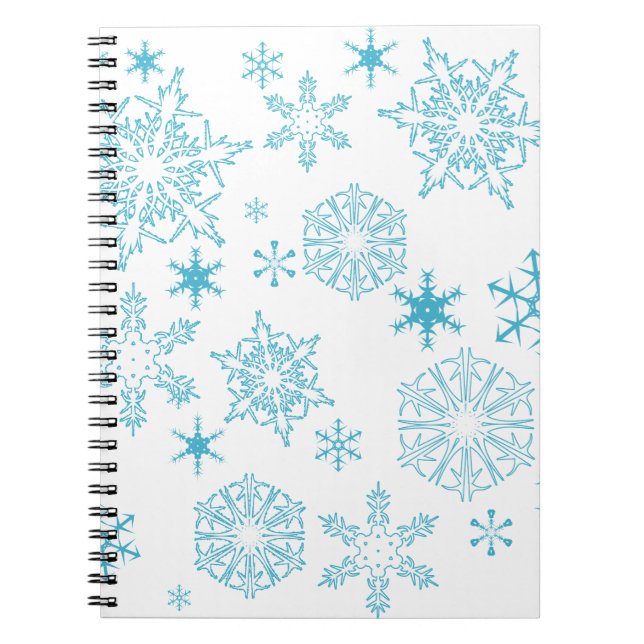 blue snowflakes notebook (Front)