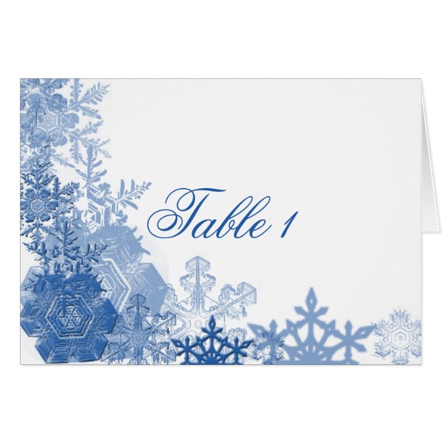 Blue Snowflakes on White Background (Front Horizontal)