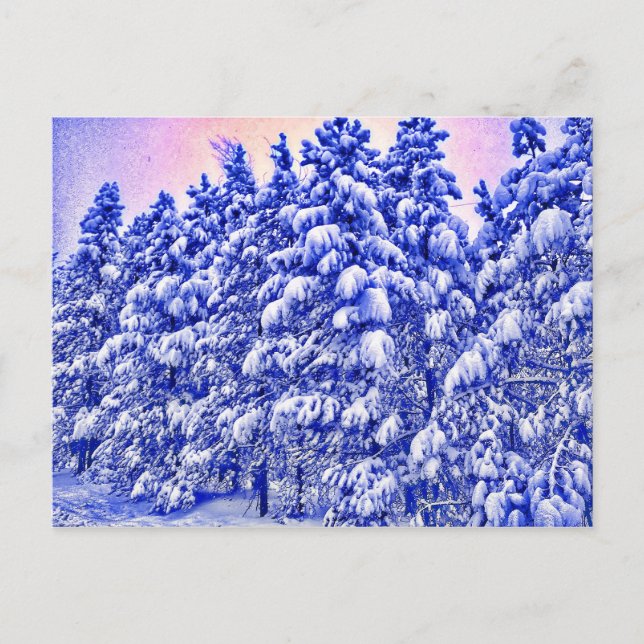 Blue Snowscape, Conifer, CO Postcard (Front)