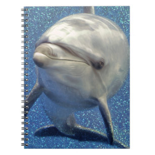Blue Sparkle Dolphin with Diamonds Monogram Notebook