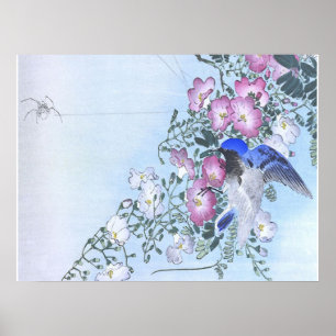 Blue Spider Bird Flower Print Spider Lovers