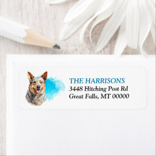 Blue Splash Australian Cattle Dog Return Address