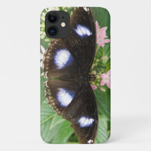 Blue Spotted Butterfly iPhone Case