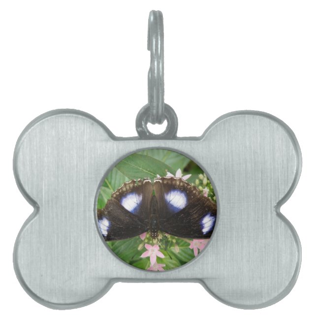 Blue Spotted Butterfly Pet Tag (Front)