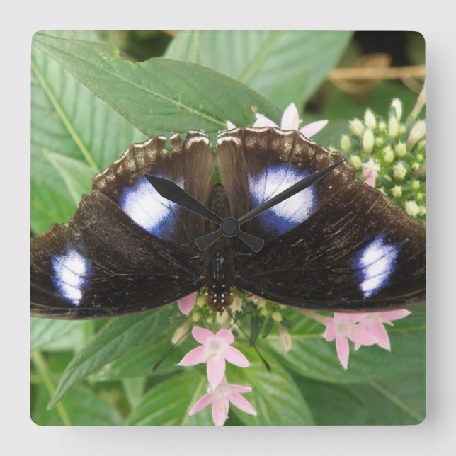 Blue Spotted Butterfly Wall Clock (Front)