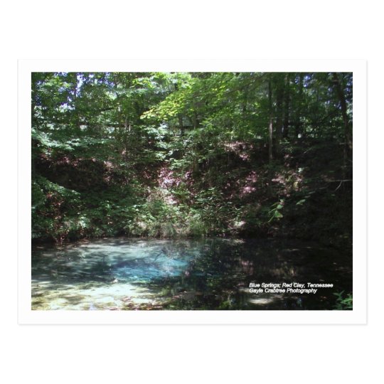 Blue Spring at Red Clay, Tennessee Postcard