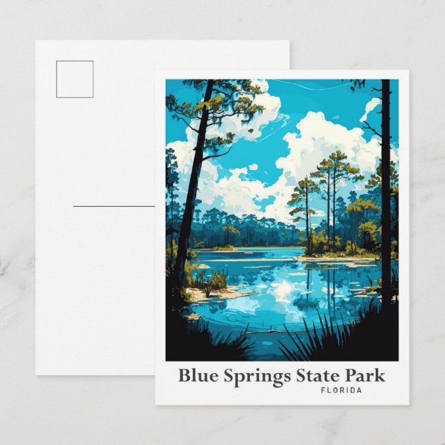 Blue Springs State Park Florida Illustration Postcard (Front/Back)