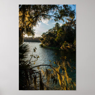 Blue Springs State Park, Florida Poster