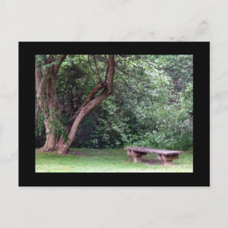 Blue Spruce Park #3 Postcard