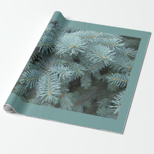Blue spruce rustic nature grey green wrapping paper