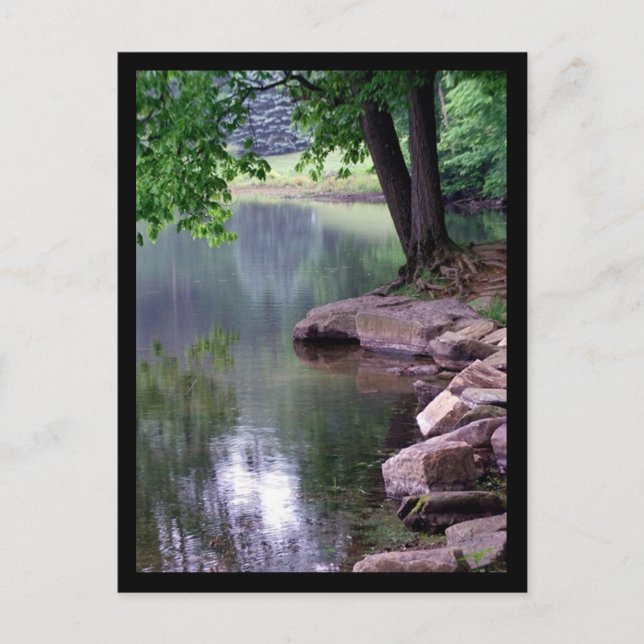 Blue Spuce Park Postcard #1 (Front)