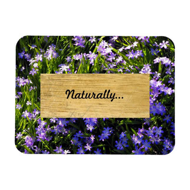Blue Squill Spring Flowers Magnet (Horizontal)