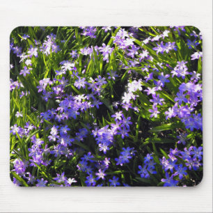 Blue Squill Spring Flowers Mouse Mat