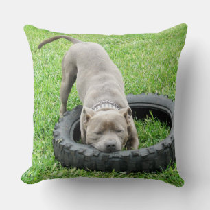 Blue Staffordshire Bull Terrier Play Time. Cushion