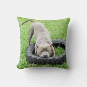 Blue Staffordshire Bull Terrier Play Time. Cushion