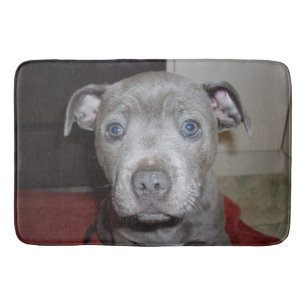 Blue Staffordshire Bull Terrier Puppy, Bathmat