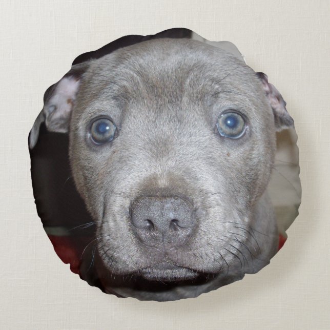 Blue Staffordshire Bull Terrier Puppy, Round Cushion (Back)