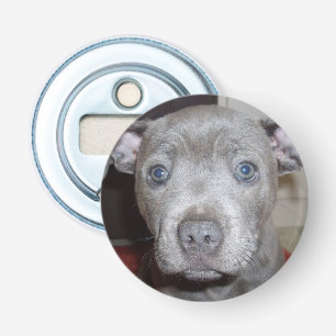 Blue Staffy Puppy Face, Magnetic Bottle Opener. Bottle Opener