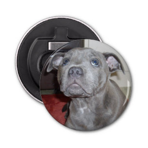 Blue Staffy Puppy Love Eyes, Bottle Opener. Bottle Opener