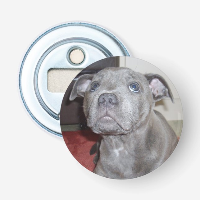 Blue Staffy Puppy Love Eyes, Bottle Opener. Opener (Front)