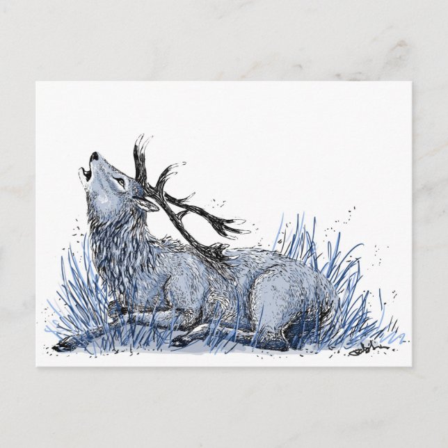 Blue Stag Postcard (Front)