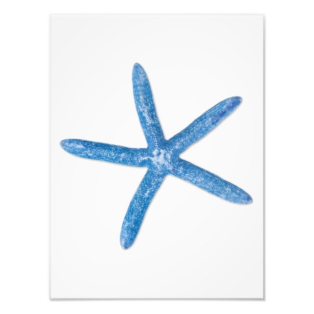 Blue Starfish Photo Print (Front)