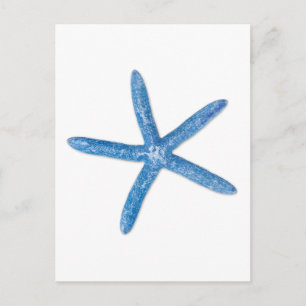 Blue Starfish Postcard