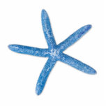 Blue Starfish Standing Photo Sculpture<br><div class="desc">A single blue starfish on a white background</div>