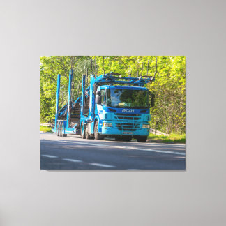 Blue Steel in Bull Country Canvas Print