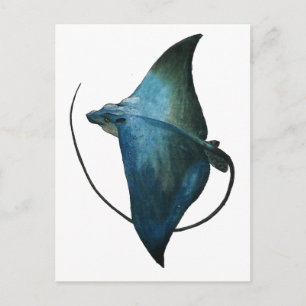 Blue Stingray Illustration Postcard