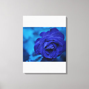 Blue Stretched Canvas Print