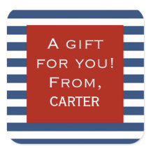 Blue Stripe Red Frame Personalised Gift Sticker