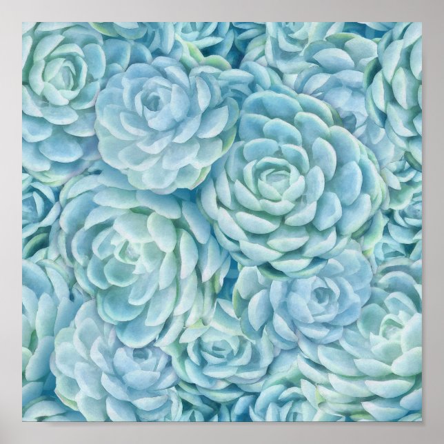 Blue succulents poster (Front)