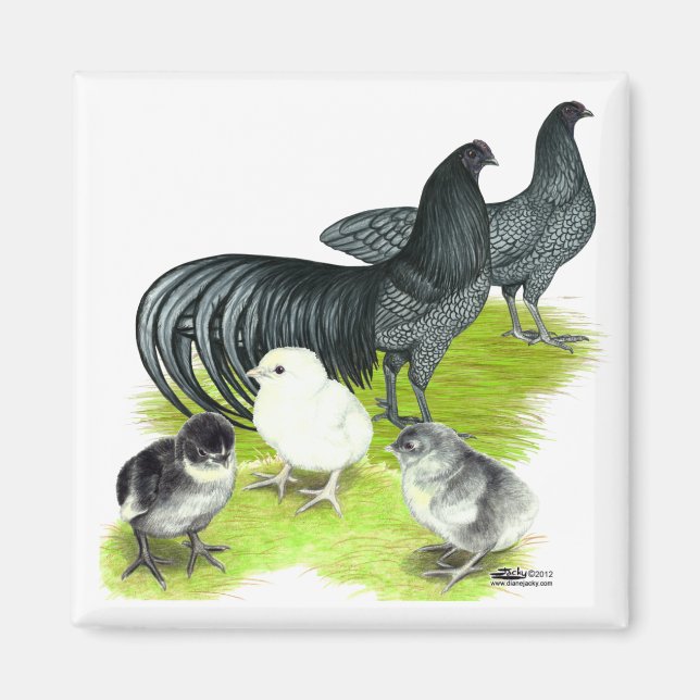 Blue Sumatra Family Magnet (Front)