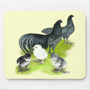 Blue Sumatra Family Mouse Mat