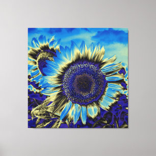 Blue Sunflower Canvas Print