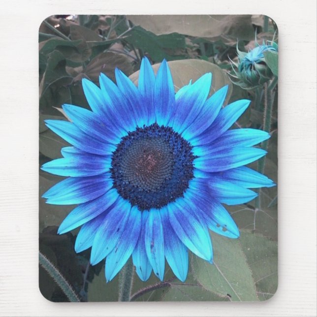 Blue Sunflower mousepad (Front)