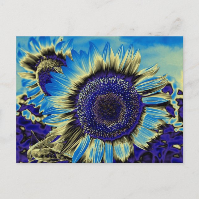 Blue Sunflower Postcard (Front)
