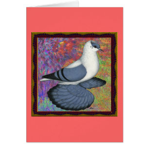 Blue Swallow Pigeon Framed