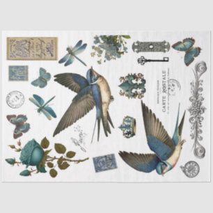 Blue Swallows Clipart Tissue Paper