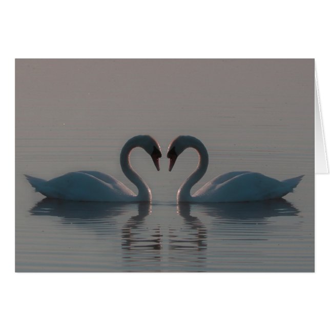 Blue Swans Must Be Love Blank Inside (Front Horizontal)