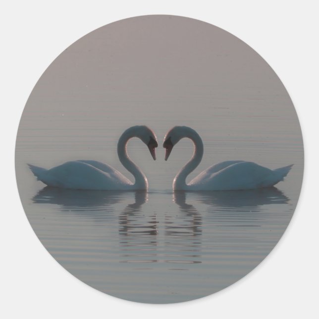 Blue Swans Must Be Love Classic Round Sticker (Front)