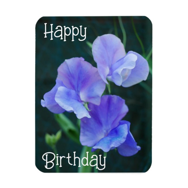 Blue Sweet Pea Flowers Birthday Magnet (Vertical)