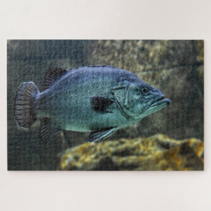 Blue swimming fish jigsaw puzzle
