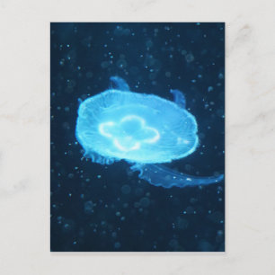 Blue Swimming Jellyfish Postcard