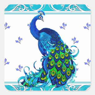 Blue swirl Border and Peacock Design Square Sticker